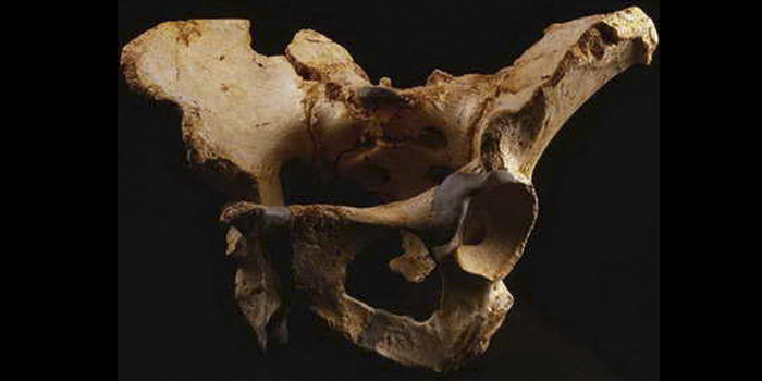 Un dependiente prehistórico