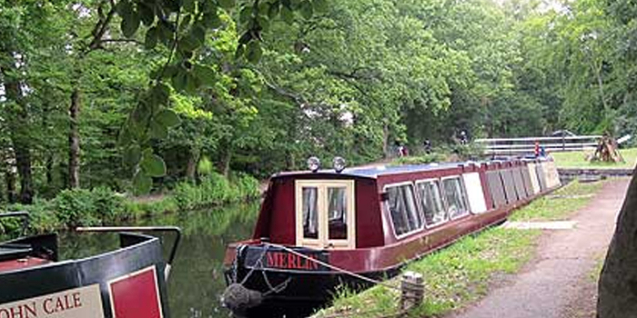 Los suaves caminos de agua