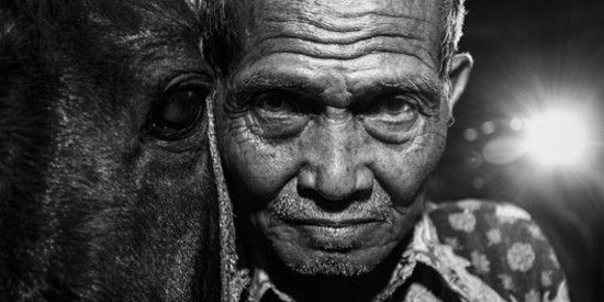 Esta imagen fue captada en Indonesia por el fotógrafo Hendi Syarifuddin y premiada con el cuarto premio del jurado por la espectacularidad, las luces, los contrastes y las miradas penetrantes tanto del anciano como del caballo.