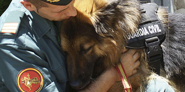 Los perros mayores también se jubilan