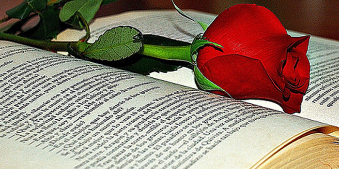 Un libro y una rosa
