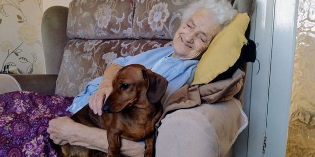 Una anciana con Alzheimer olvida sus achaques al recibir la visita de una perra