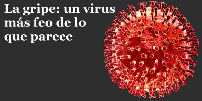 Cerca de 200 mayores murieron el pasado año en España por el virus de la gripe