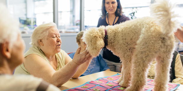 Las terapias con mascotas llegan a las residencias de ancianos